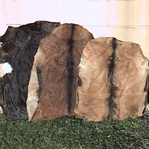 Single Goat Skin
