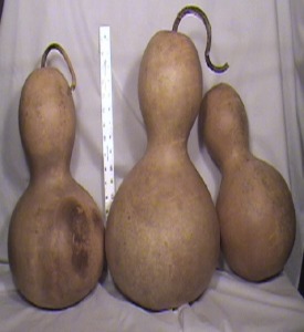 Shekere Gourds